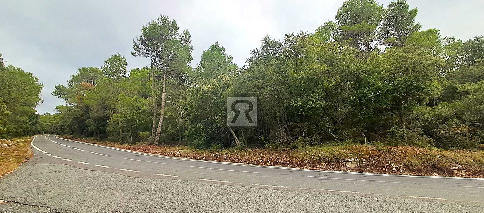 Finca rústica forestal de 20ha cerca de la carretera - Mont-ral (Tarragona) | Acampar