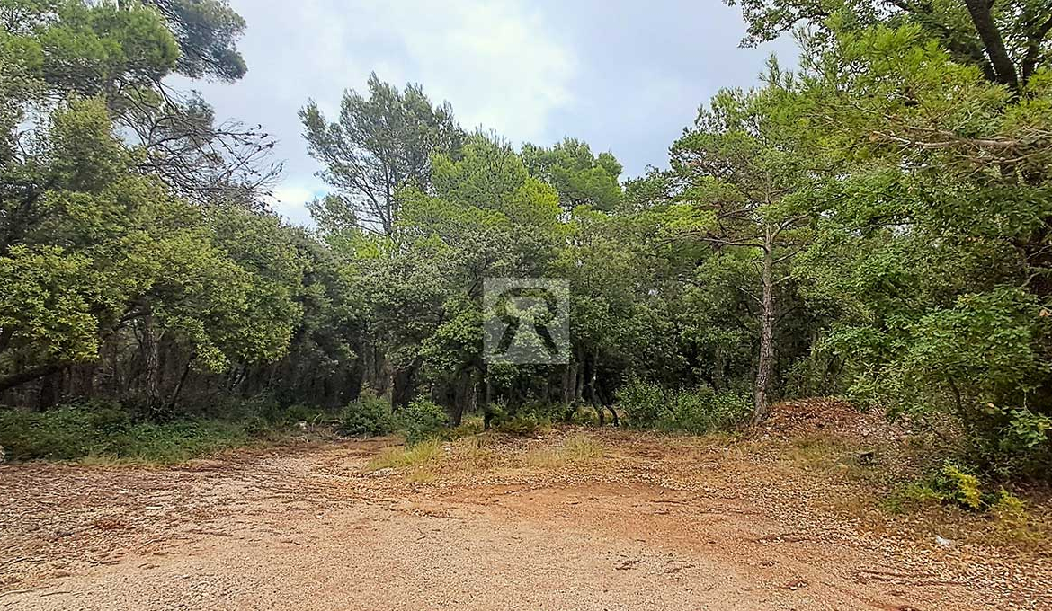 Finca rústica forestal de 20ha cerca de la carretera - Mont-ral (Tarragona) | Asociación cazadora