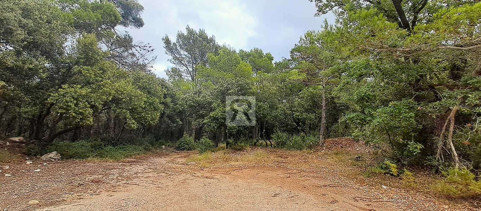 Finca rústica forestal de 20ha cerca de la carretera - Mont-ral (Tarragona) | Asociación cazadora