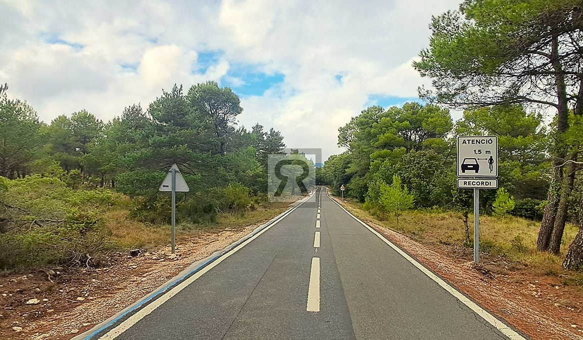 Finca rústica forestal de 20ha cerca de la carretera - Mont-ral (Tarragona) | Bosque