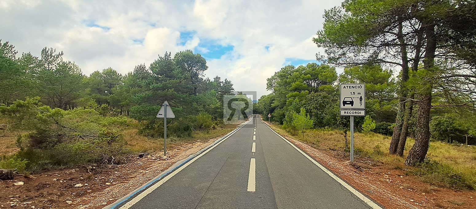 Finca rústica forestal de 20ha cerca de la carretera - Mont-ral (Tarragona) | Bosque