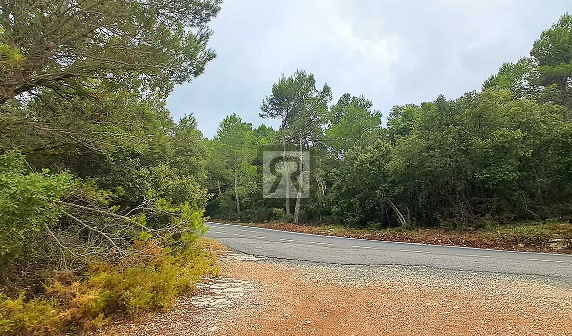 Finca rústica forestal de 20ha cerca de la carretera - Mont-ral (Tarragona) | Finca para caza