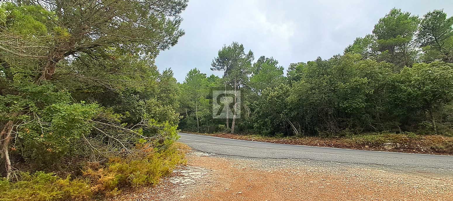 Finca rústica forestal de 20ha cerca de la carretera - Mont-ral (Tarragona) | Finca para caza