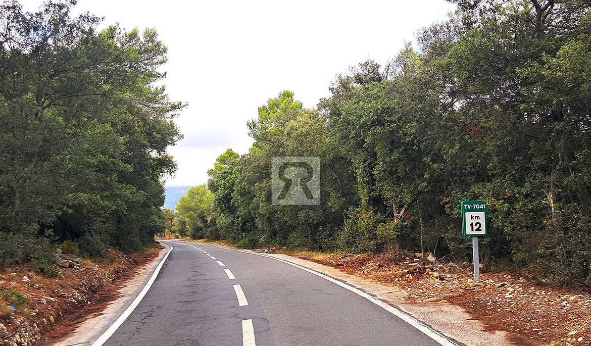 Finca rústica forestal de 20ha cerca de la carretera - Mont-ral (Tarragona) | Espárragos