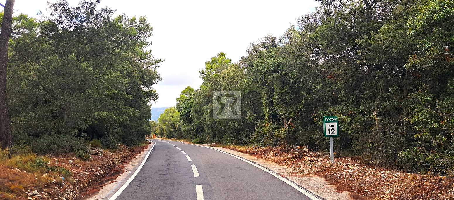 Finca rústica forestal de 20ha cerca de la carretera - Mont-ral (Tarragona) | Espárragos