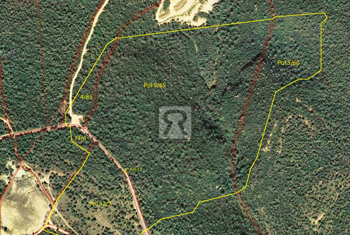 Finca rústica forestal de 20ha cerca de la carretera - Mont-ral (Tarragona) | Mapa de ubicación