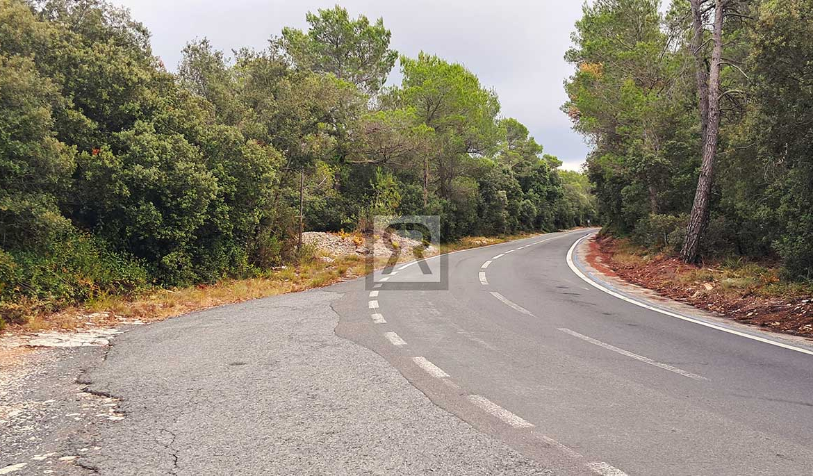 Finca rústica forestal de 20ha cerca de la carretera - Mont-ral (Tarragona) | Naturaleza