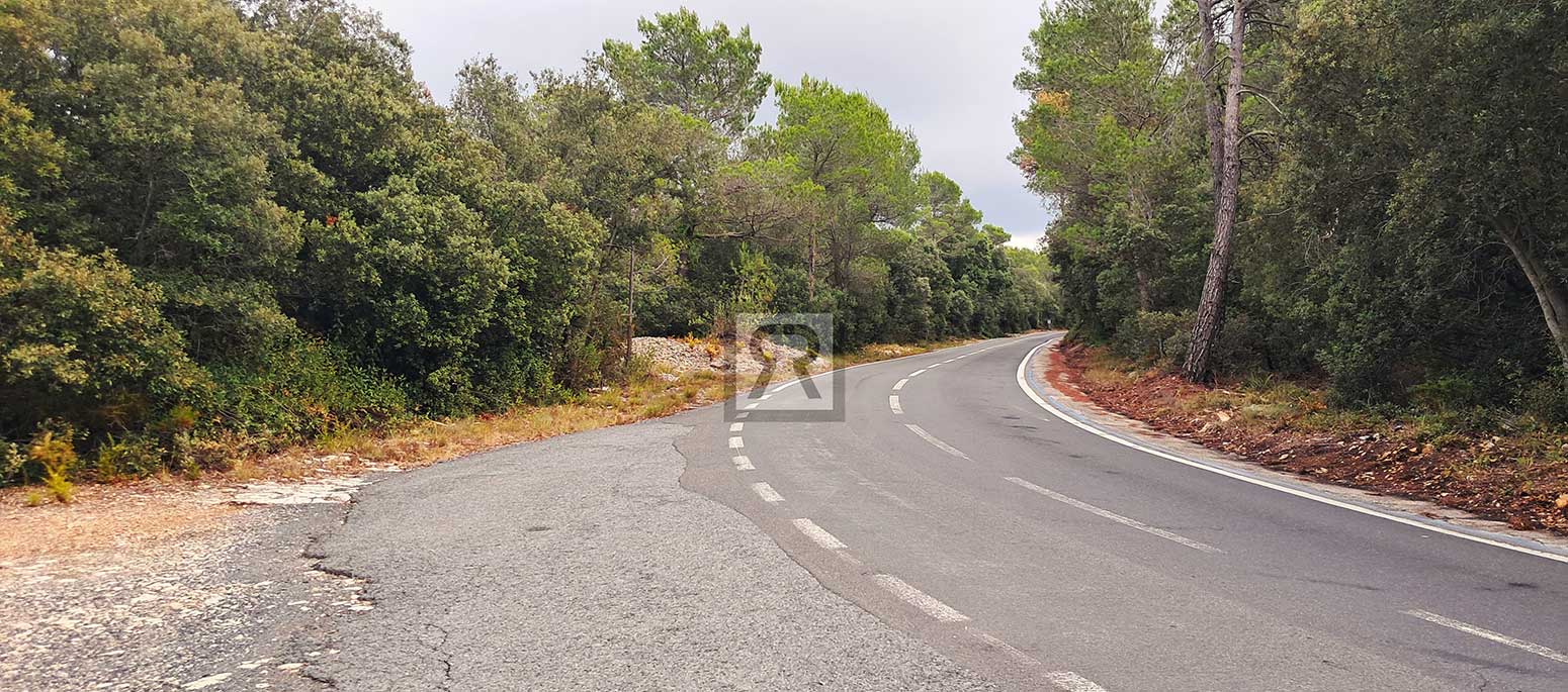 Finca rústica forestal de 20ha cerca de la carretera - Mont-ral (Tarragona) | Naturaleza