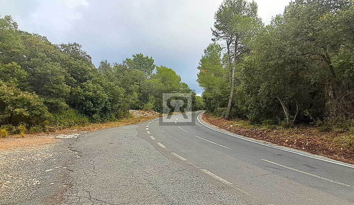 Finca rústica forestal de 20ha cerca de la carretera - Mont-ral (Tarragona) | Pino