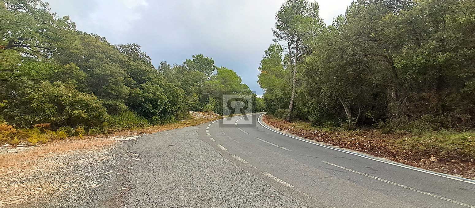 Finca rústica forestal de 20ha cerca de la carretera - Mont-ral (Tarragona) | Pino